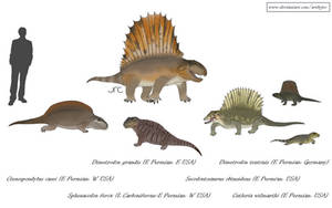 Rise of the Sailbacks - Sphenacodontids