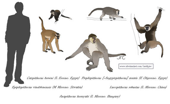 Explore the Best Miocene Art | DeviantArt