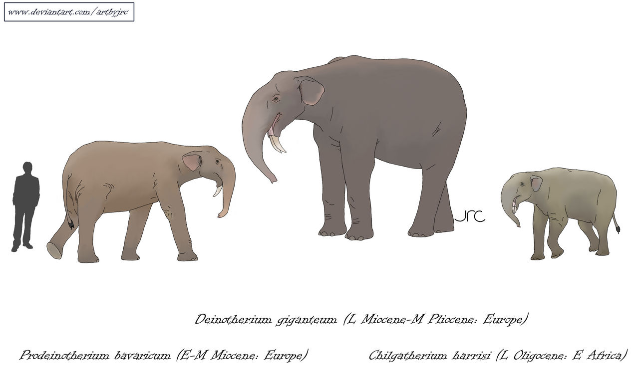 A waterhole in the past with Deinotherium