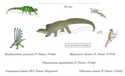 Monkey-lizards - Drepanosaurs by artbyjrc