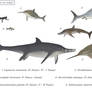 True fish lizards 1 - Basal parvipelvians