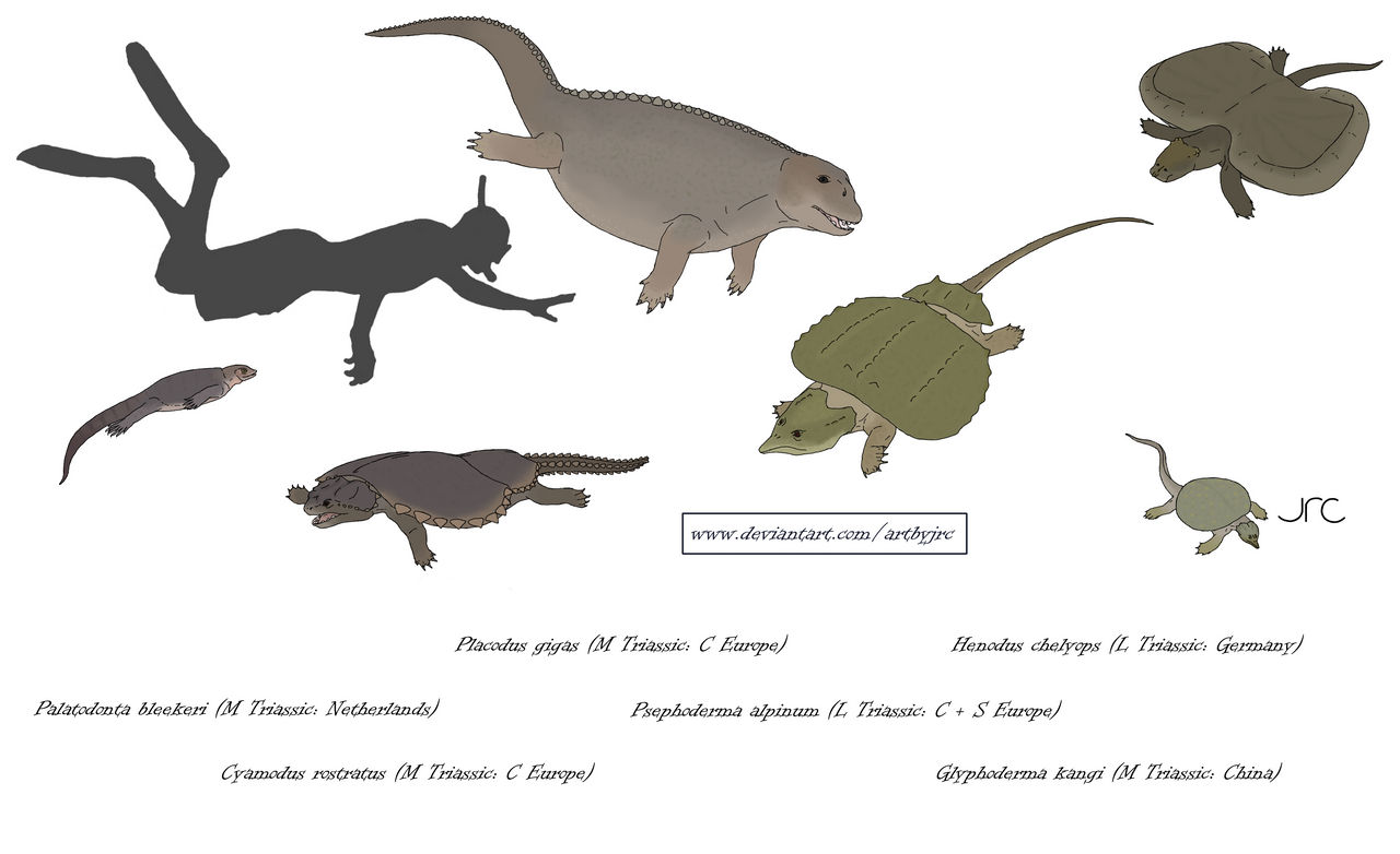 Armoured shellfish snackers - Placodonts by artbyjrc on DeviantArt