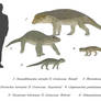 Armoured crocs - Notosuchians 1