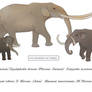 Not elephants 1 - Mastodons