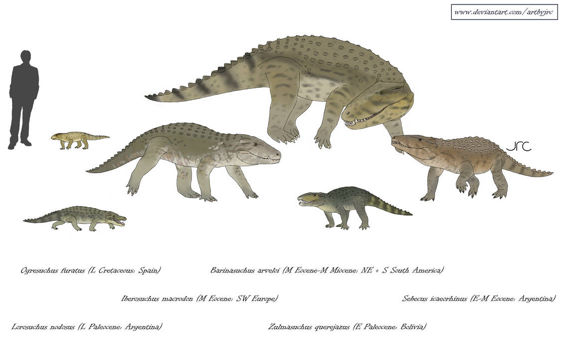 Sebecia Last of the blade-tooth crocs - Sebecids by artbyjrc on DeviantArt