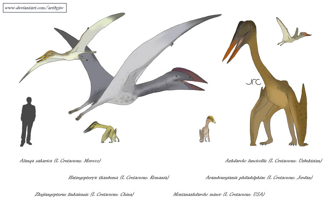 Too Big To Fly Azhdarchids By Artbyjrc On DeviantArt too-big-to-fly-azhdarchids-by-artbyjrc-on-deviantart