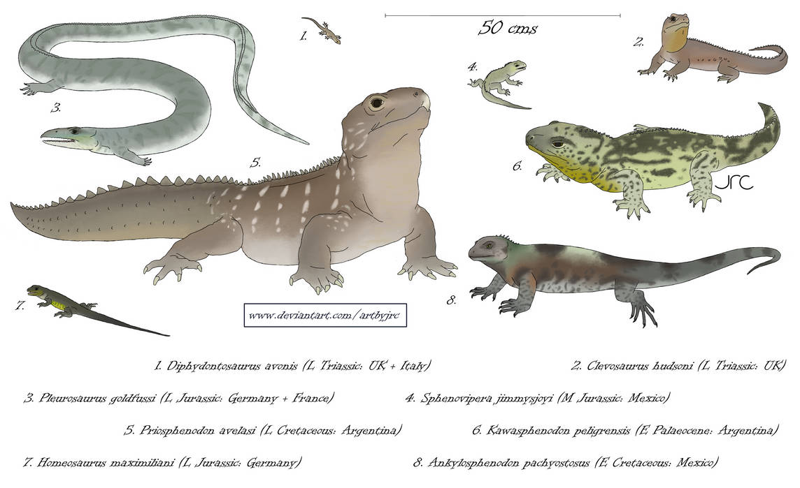 Homeosaurus Example Beakheads (not lizards) - Rhynchocephalians by artbyjrc on DeviantArt