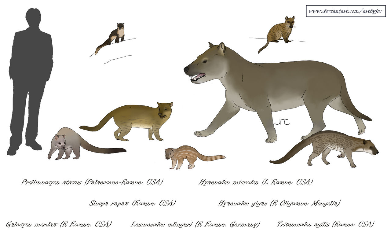 Synapsida: Pliocene (Pt 5): The Last Sabretooths in Europe