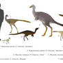 Speedy feathered anteaters? - Alvarezsauroids