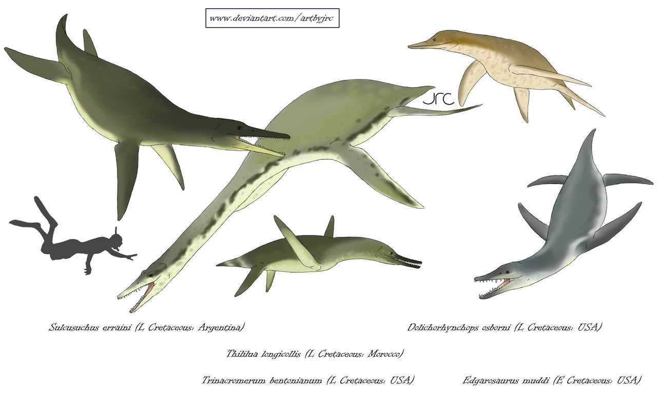 Charts and Size References on Paleontography - DeviantArt