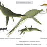 Pliosaur mimics - Polycotylids