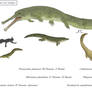 Copy-crocs 3 - Archegosaurids