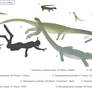 Extraordinary elongation - Tanystropheids