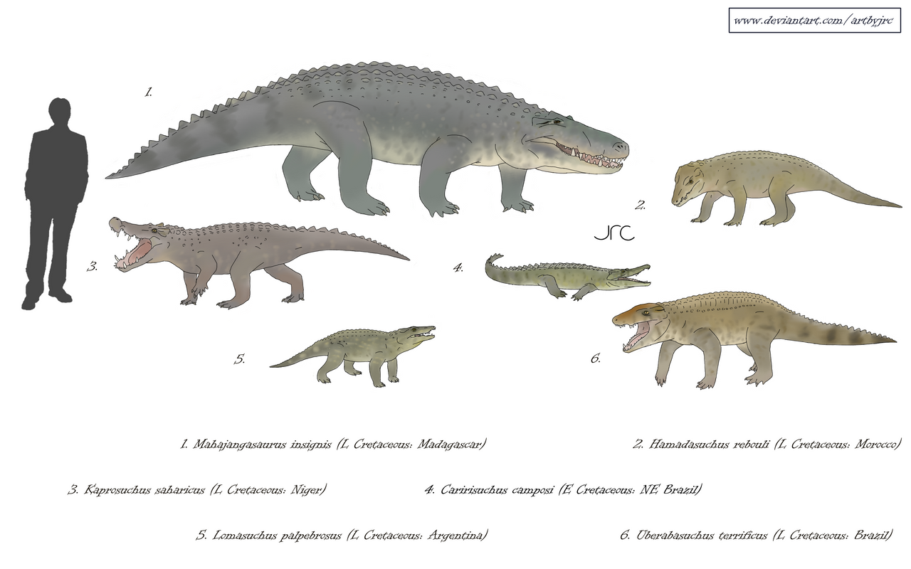 Sebecia Blade-tooth crocs - Basal sebecians by artbyjrc on DeviantArt