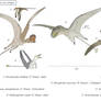 Flight of the wing fingers - Basal pterosaurs