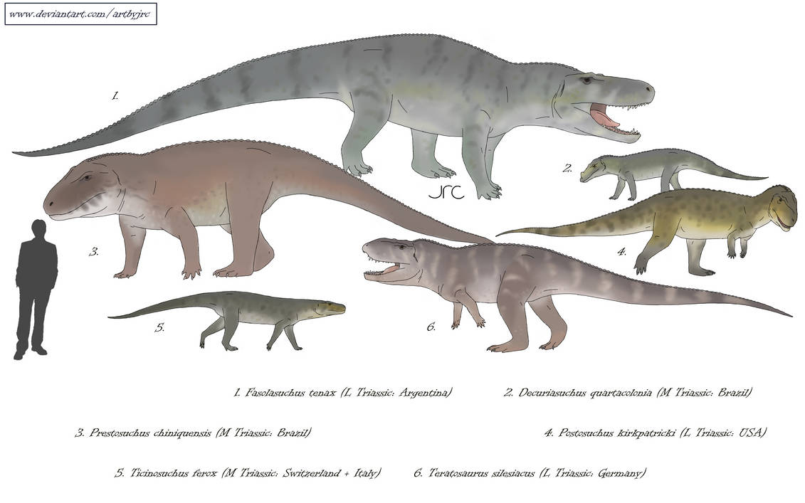 Triassic terrors - Loricatans by artbyjrc on DeviantArt