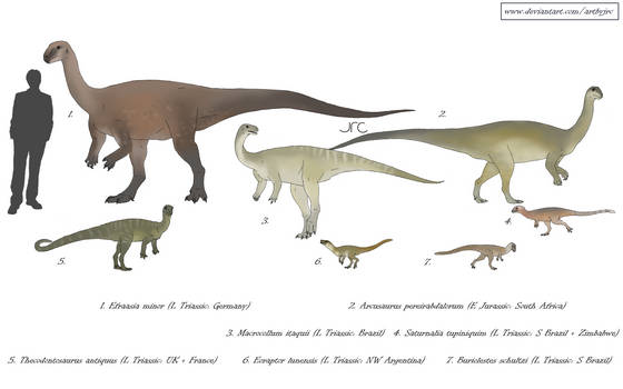Dawn of the titans - Basal sauropodomorphs 1