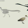 False Impressions - Archaeoraptor