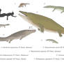 Crocomanders 1 - Capitosaurs (revised)
