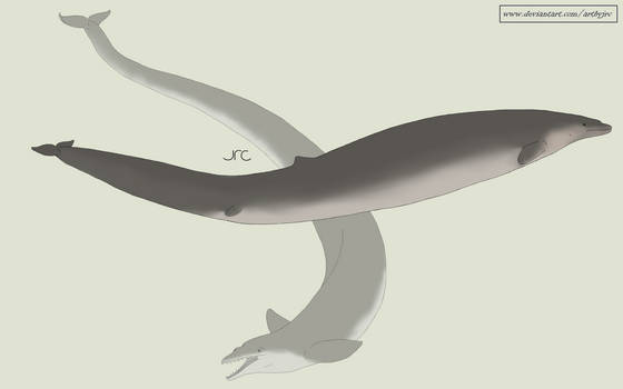 Basilosaurus Deviantart Explore the Best Basilosaurus Art | DeviantArt