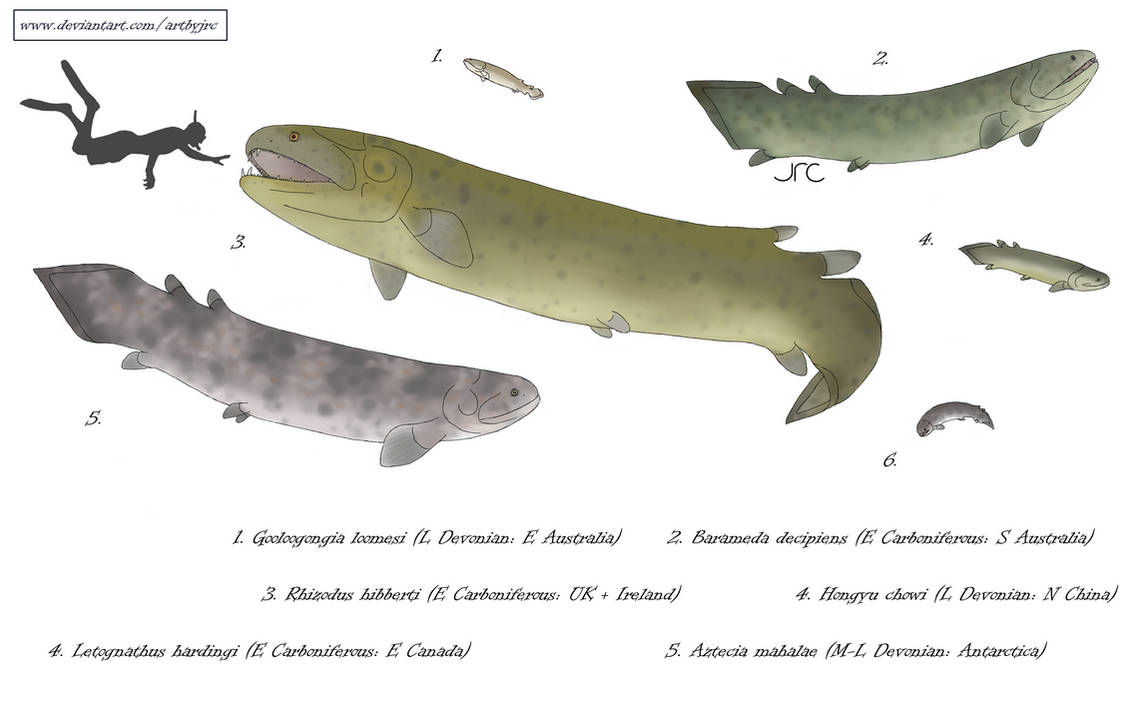 Real river monsters 1 - Rhizodonts (revised) by artbyjrc on DeviantArt