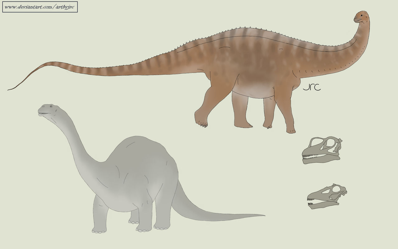 Brontosaurus Right False Impressions - Brontosaurus by artbyjrc on DeviantArt