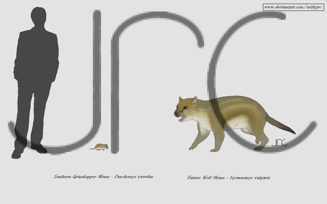 Commission art - Future wolf mouse by artbyjrc on DeviantArt