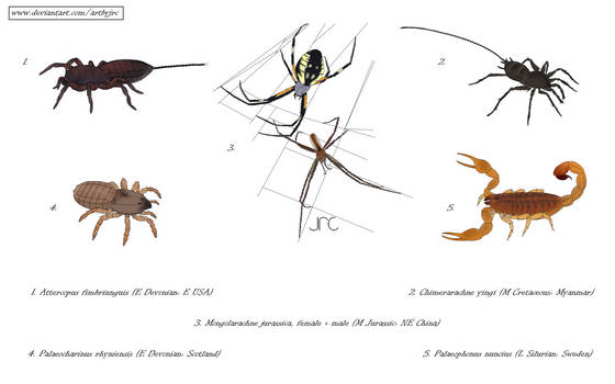 Commission art - Assorted extinct arachnids