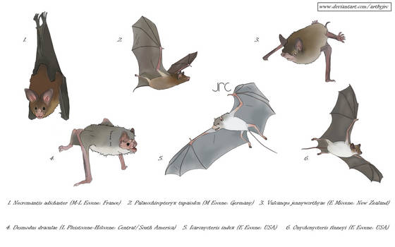 Commission art - Assorted extinct bats