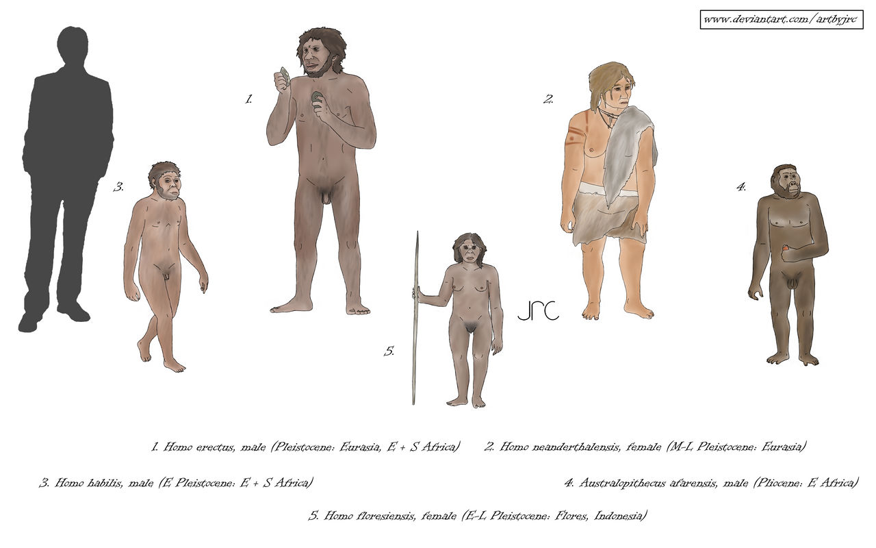 Extinct Primate Commission art - Assorted extinct primates 2 by artbyjrc on DeviantArt