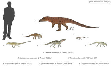 Surprising small scuttlers - Basal crocodylomorphs