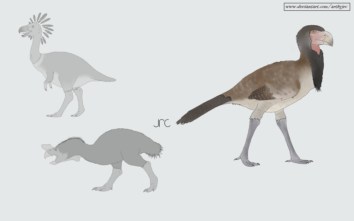 Speculative future - Terror bird by artbyjrc on DeviantArt