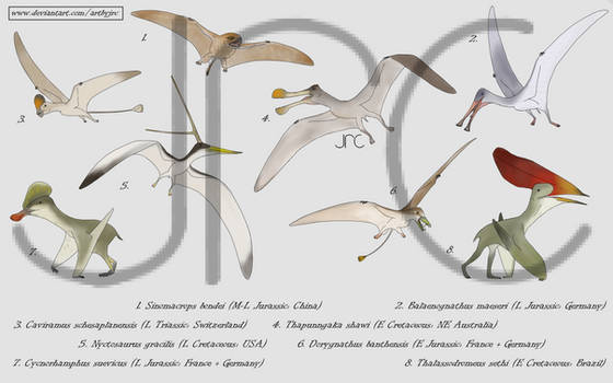 Commission art - Pterosaur diversity