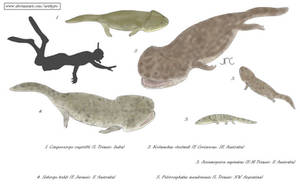 Mesozoic megamouths 1 - Chigutisaurids (revised)