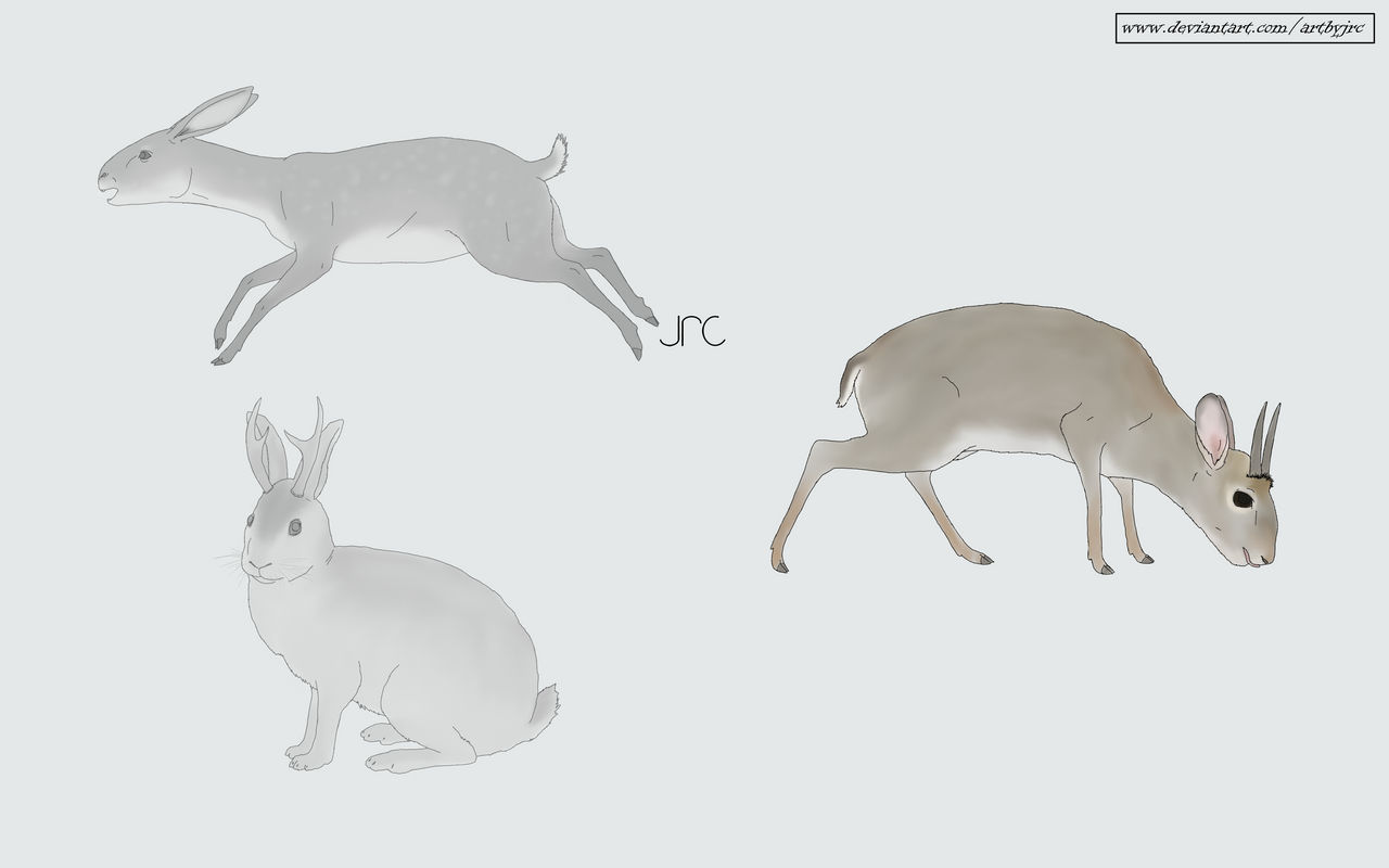 Commn Rabbuck Speculative future/mythical - Ungulate rabbit by artbyjrc on DeviantArt