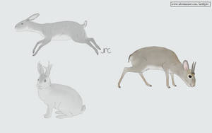 Speculative future/mythical - Ungulate rabbit