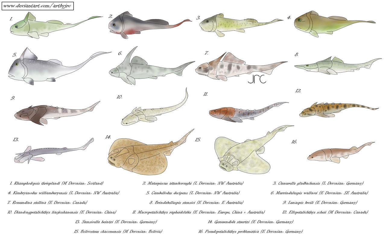 Plate skins - Miscellaneous placoderms by artbyjrc on DeviantArt
