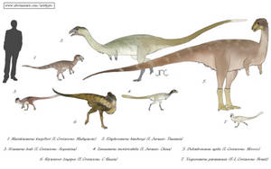 Mishmash theropods - Noasaurids