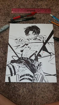 Levi Ackerman (Try 1)