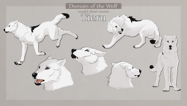 DotW - Tieru Model Sheet Meme