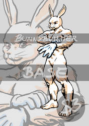 Bunnybuilder base character