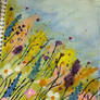 Wildflowers