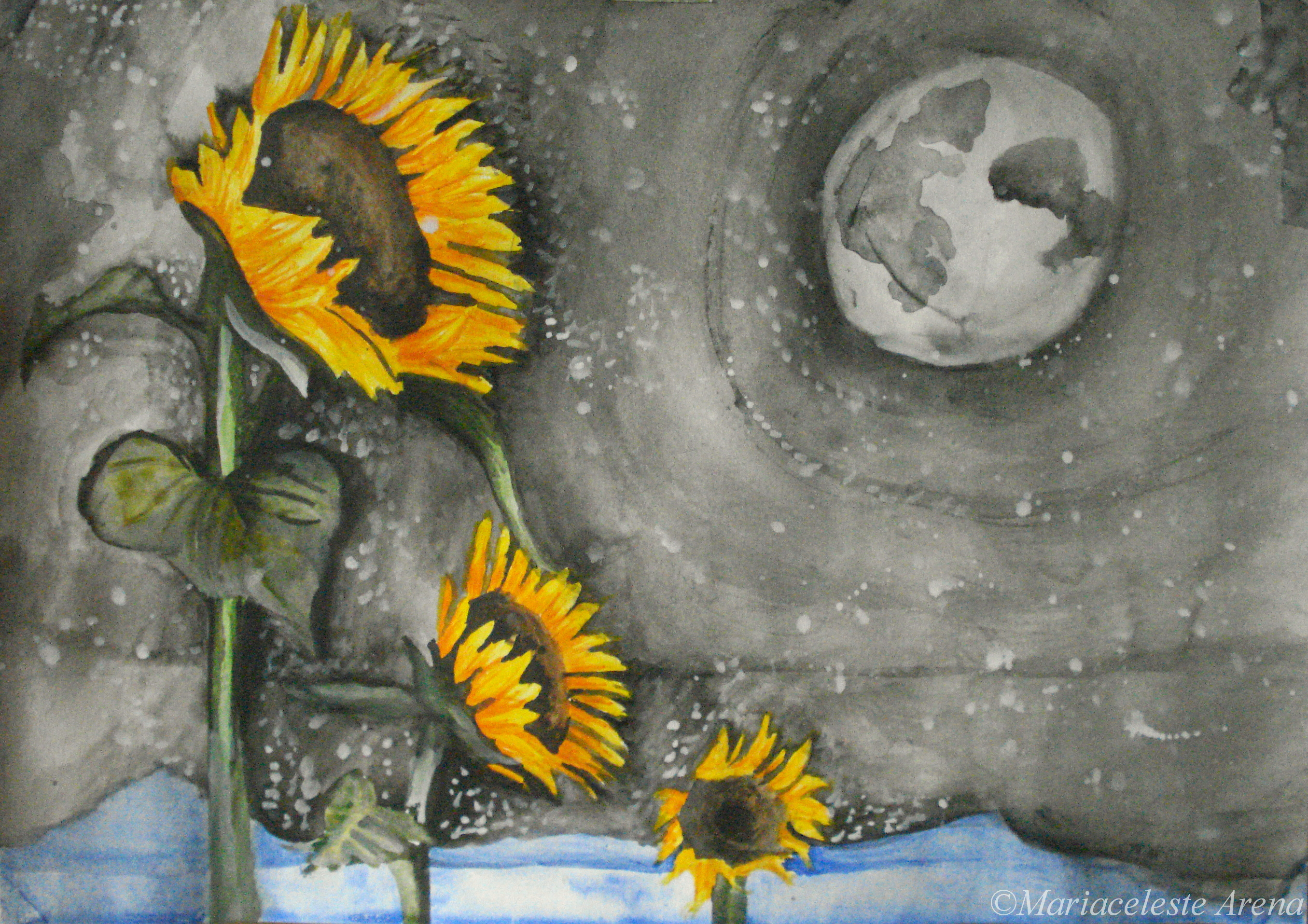 Nocturnal sunflowers