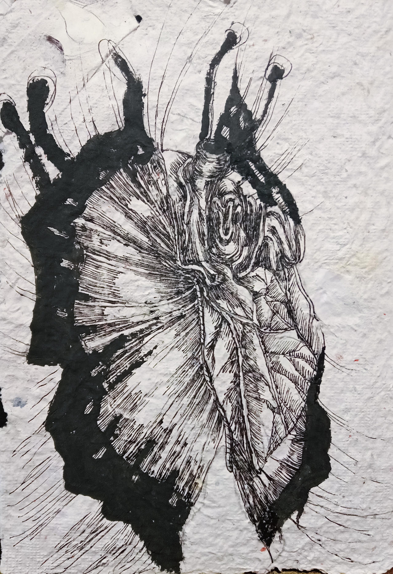 Butterfly heart,handmade paper