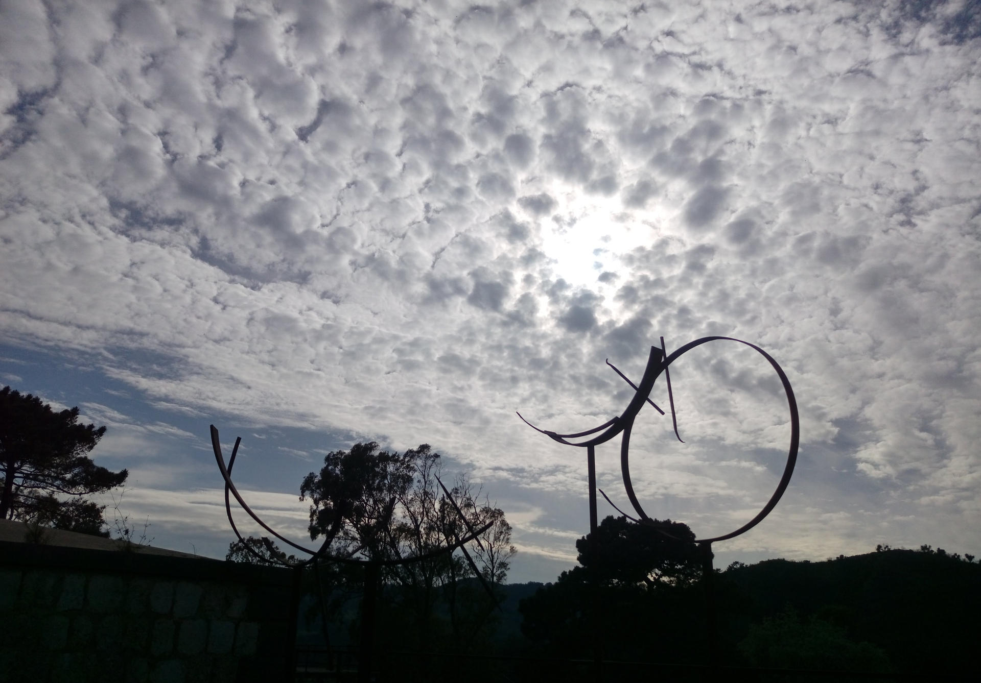 Art and nature