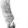 Winged elephant III