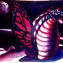 The butterfly-snake on the moonlight