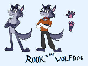 Rook the wolfdog