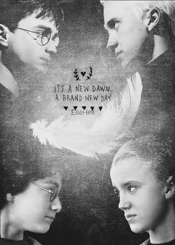 Draco and Harry through years