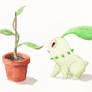 Chikorita with pot plant